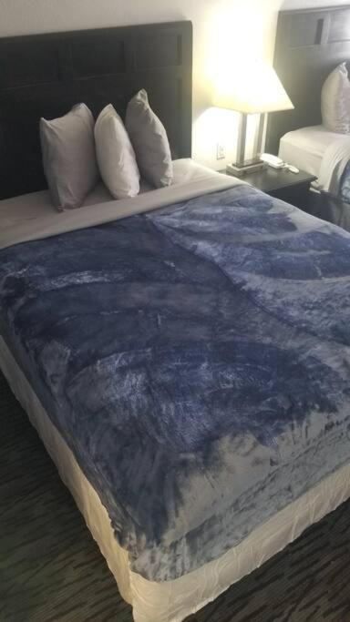 Osu 2 Queen Beds 132